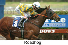 Roadhog (14872 bytes)