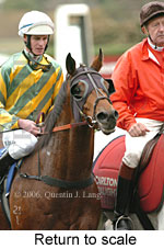 Return to scale (14872 bytes)