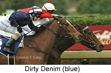 Dirty Denim (14872 bytes)