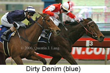 Dirty Denim (14872 bytes)