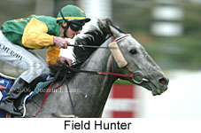 Field Hunter (14872 bytes)