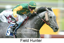 Field Hunter (14872 bytes)
