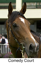 r1comedycourt.jpg (10557 bytes)