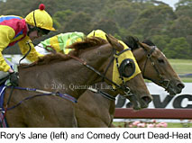 r1dead-heat2.jpg (14877 bytes)