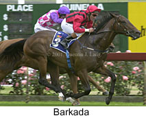 r2barkada.jpg (15391 bytes)