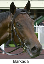 r2barkada2.jpg (10198 bytes)