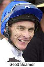 r3sseamer.jpg (11628 bytes)