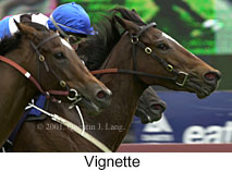 r3vignette.jpg (12193 bytes)