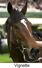 r3vignette2.jpg (10952 bytes)