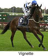 r3vignette3.jpg (12737 bytes)