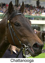 r4chattanooga2.jpg (11649 bytes)