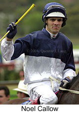 r4noelcallow.jpg (12628 bytes)