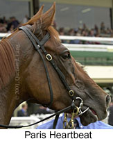 r5parisheartbeat2.jpg (11852 bytes)