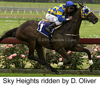 r6skyheights.jpg (17165 bytes)