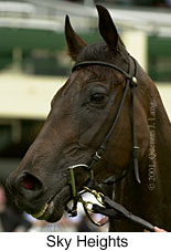 r6skyheights2.jpg (10797 bytes)