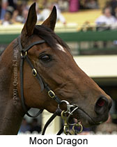 r7moondragon2.jpg (11582 bytes)