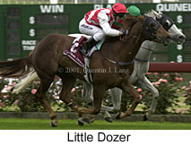 r8littledozer.jpg (14130 bytes)