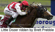 r8littledozer2.jpg (13623 bytes)