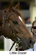 r8littledozer3.jpg (11023 bytes)