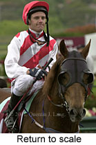 r8rtosc.jpg (11840 bytes)