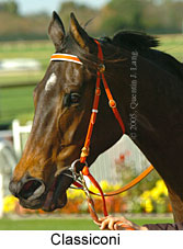 Classiconi (14872 bytes)