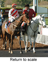 Return to scale (14872 bytes)