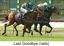 Last Goodbye (14872 bytes)