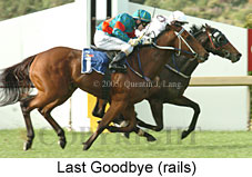 Last Goodbye (14872 bytes)