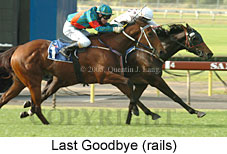 Last Goodbye (14872 bytes)