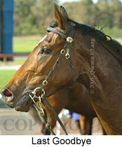 Last Goodbye (14872 bytes)