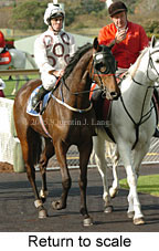 Return to scale (14872 bytes)