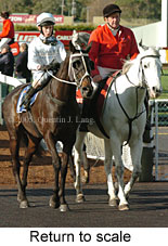 Return to scale (14872 bytes)