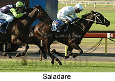 Saladare (14872 bytes)