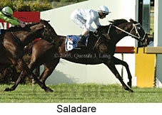Saladare (14872 bytes)