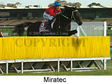 Miratec (14872 bytes)