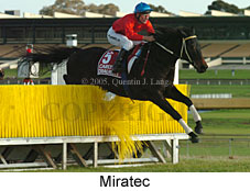 Miratec (15087 bytes)