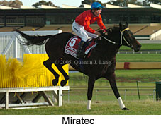 Miratec (14872 bytes)