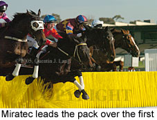 Miratec (14872 bytes)