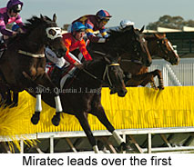 Miratec (14872 bytes)