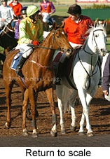 Return to scale (14872 bytes)