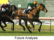 Future Analysis (14872 bytes)