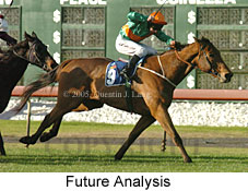 Future Analysis (14872 bytes)