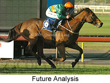 Future Analysis (14872 bytes)