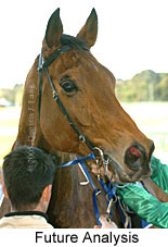 Future Analysis (14872 bytes)