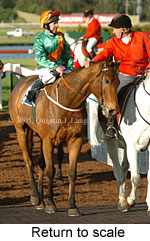 Return to scale (14872 bytes)