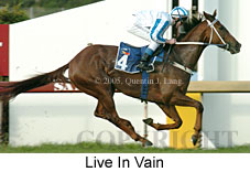 Live In Vain (14872 bytes)