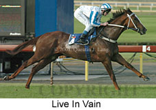 Live In Vain (14872 bytes)