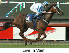 Live In Vain (14872 bytes)