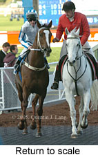 Return to scale (14872 bytes)