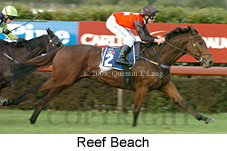 Reef Beach (14872 bytes)